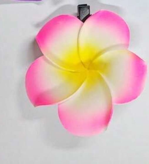 Hair Accessories