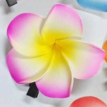 Hair Accessories
