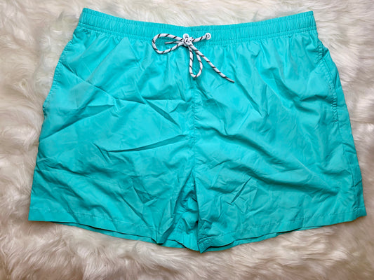 Mint Blue Trunks